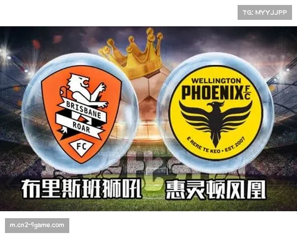 维迪奇反击破门 布里斯班狮吼暂时领先惠灵顿凤凰